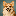 16 px