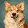 32 px