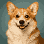 64 px