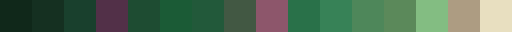 The dragon girl sprite as a 16-color PNG swatch strip, exactly as the tool exports it