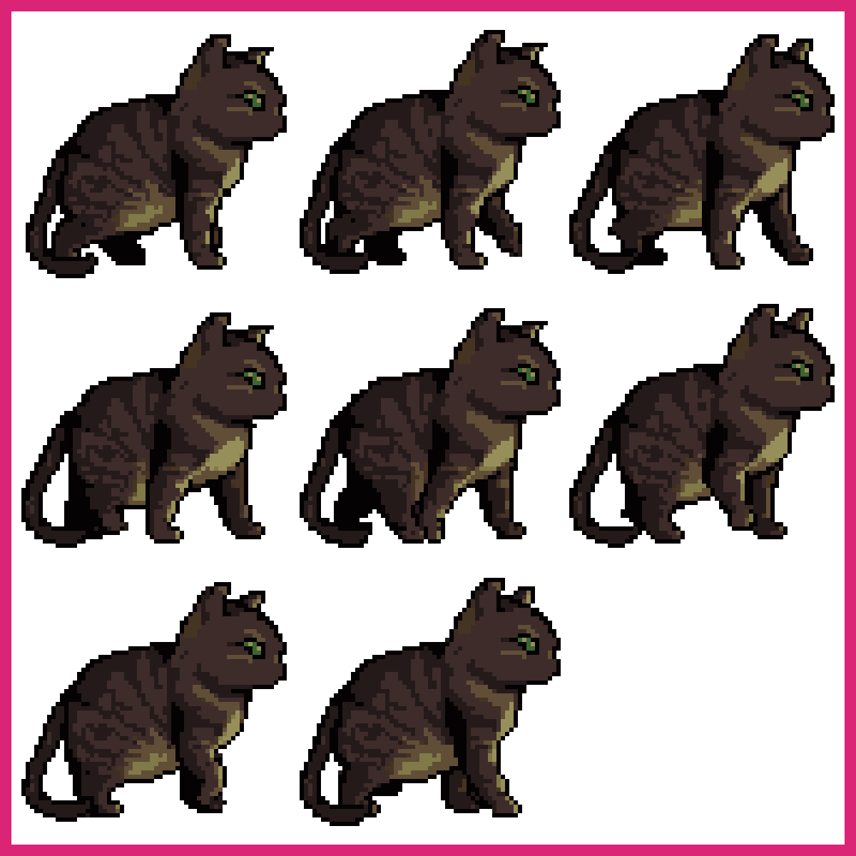 Brown Cat Sitting Walking Forward