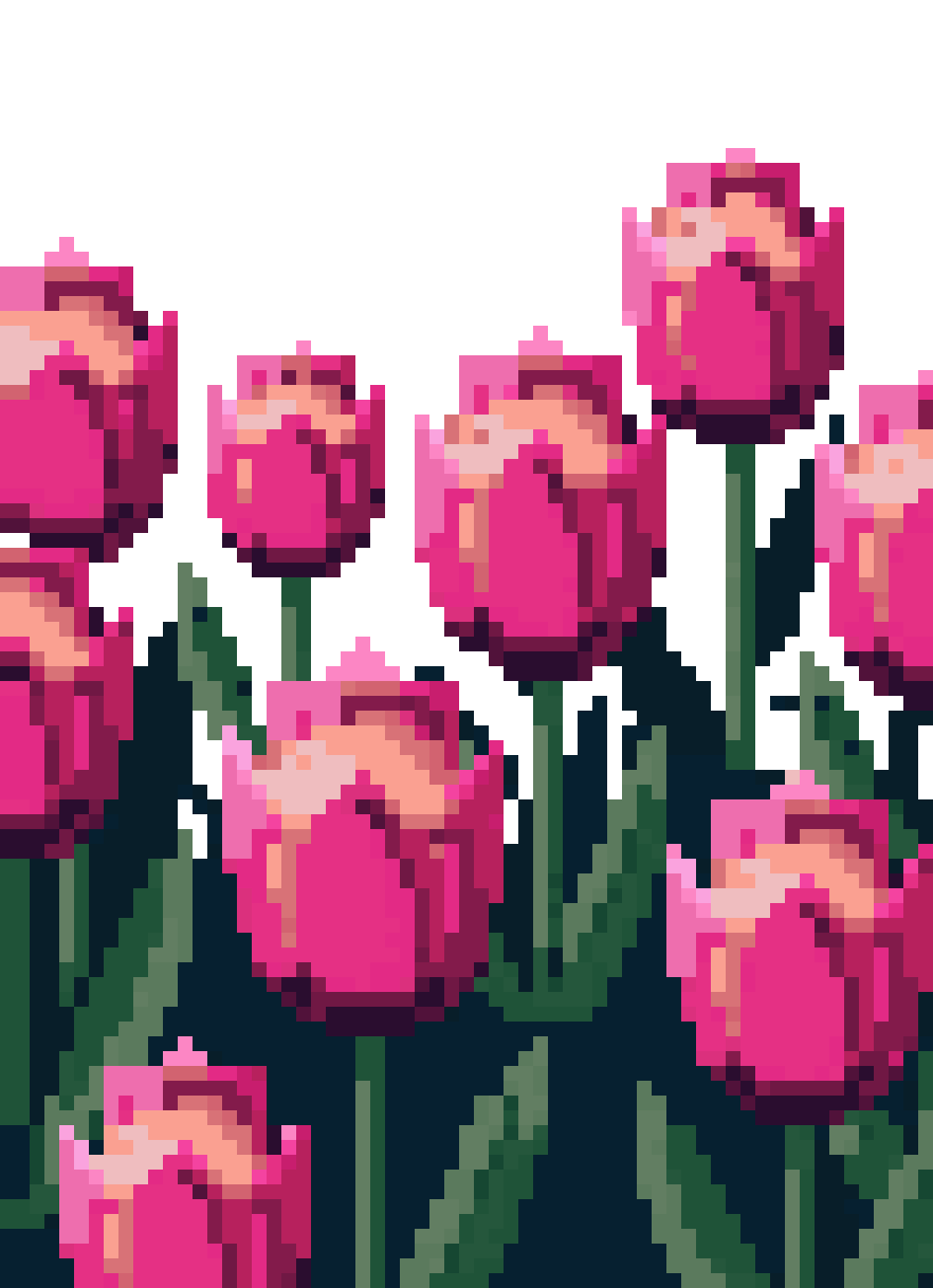 Field of Pink Tulips pixel art