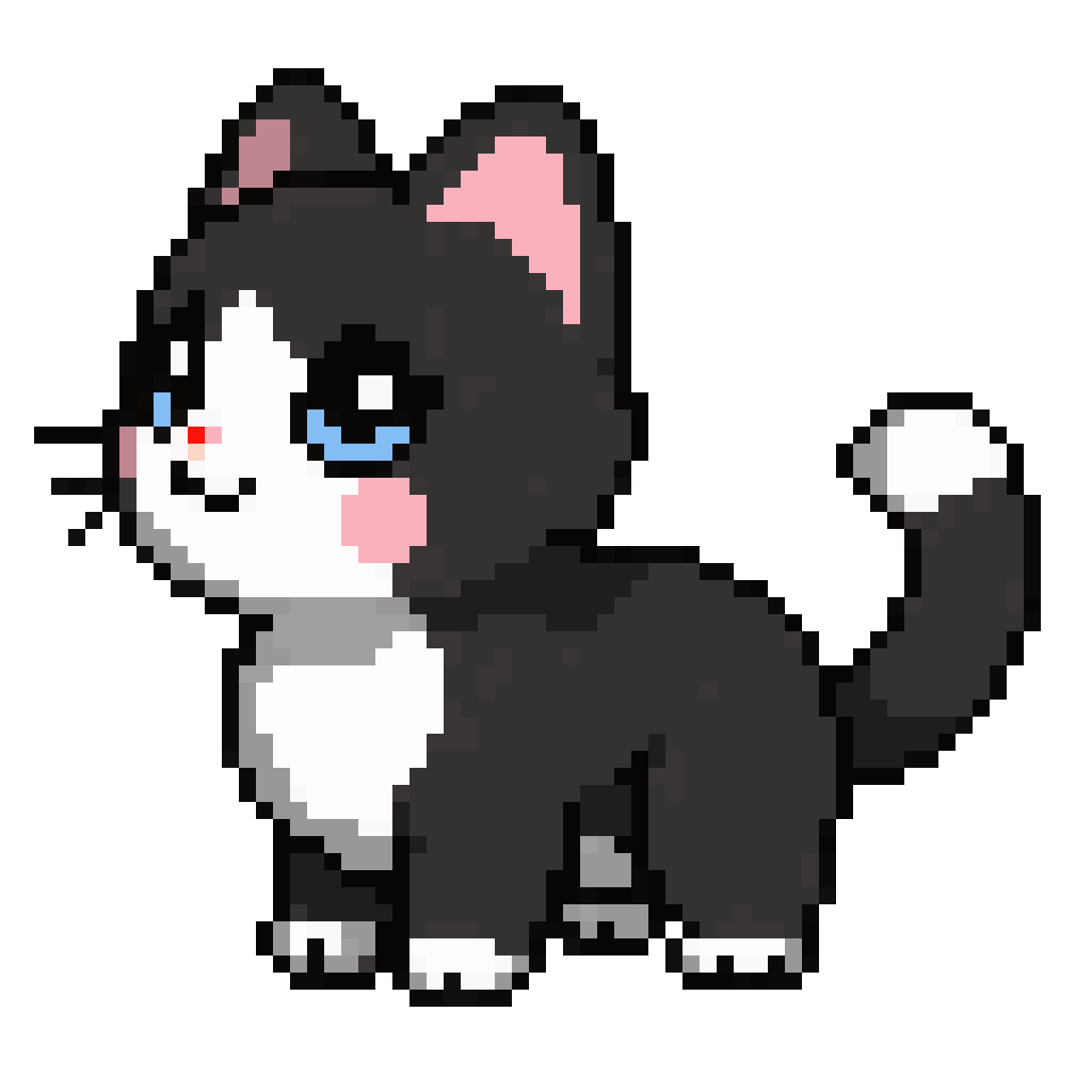 cute chubby black and white cat pixel art