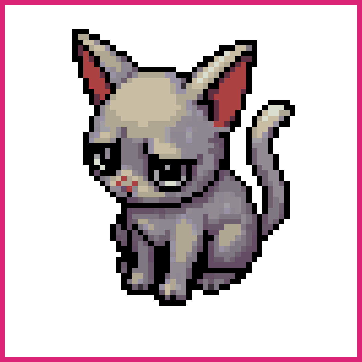 gray hairless one-eyed cat