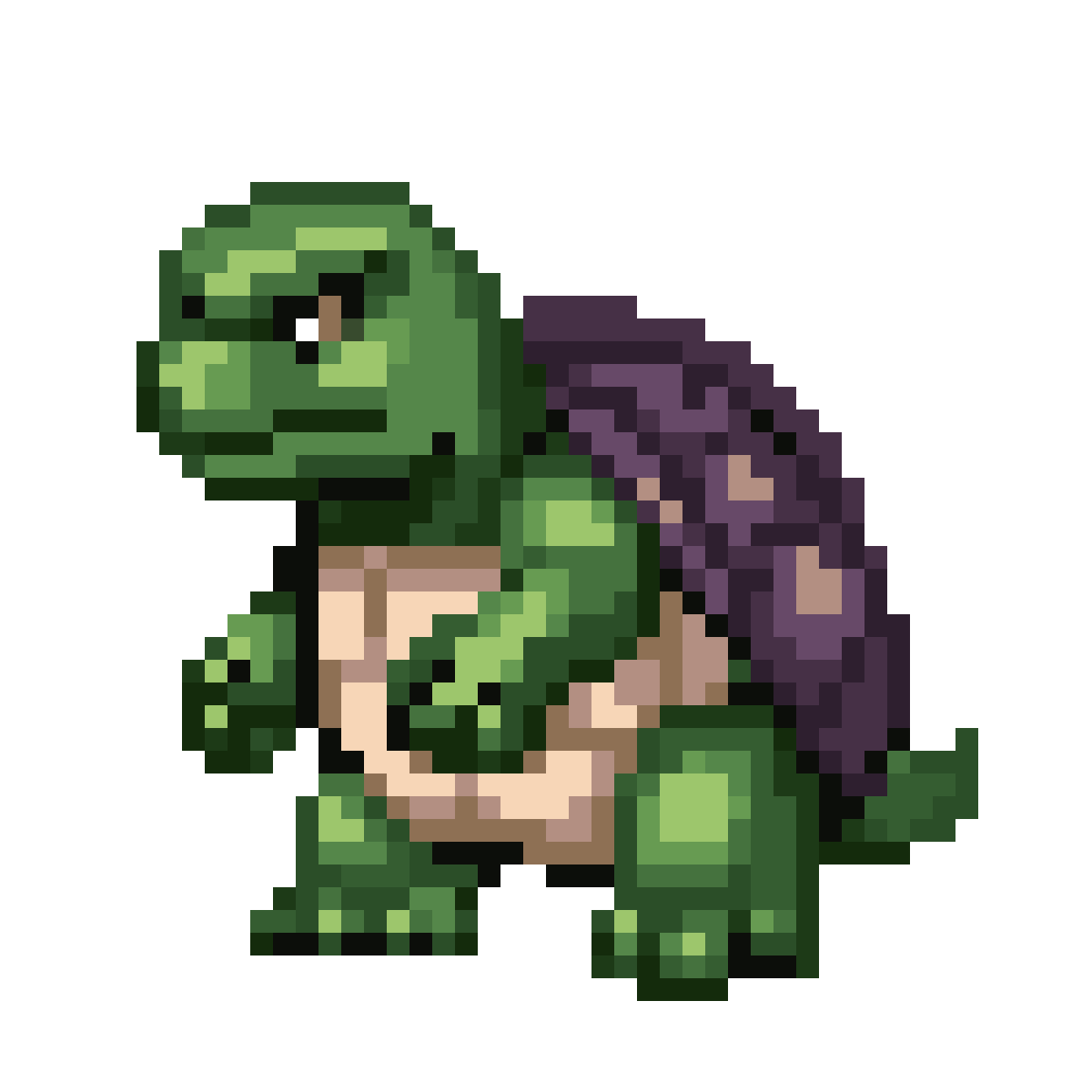 green turtle with armored shell pixel art