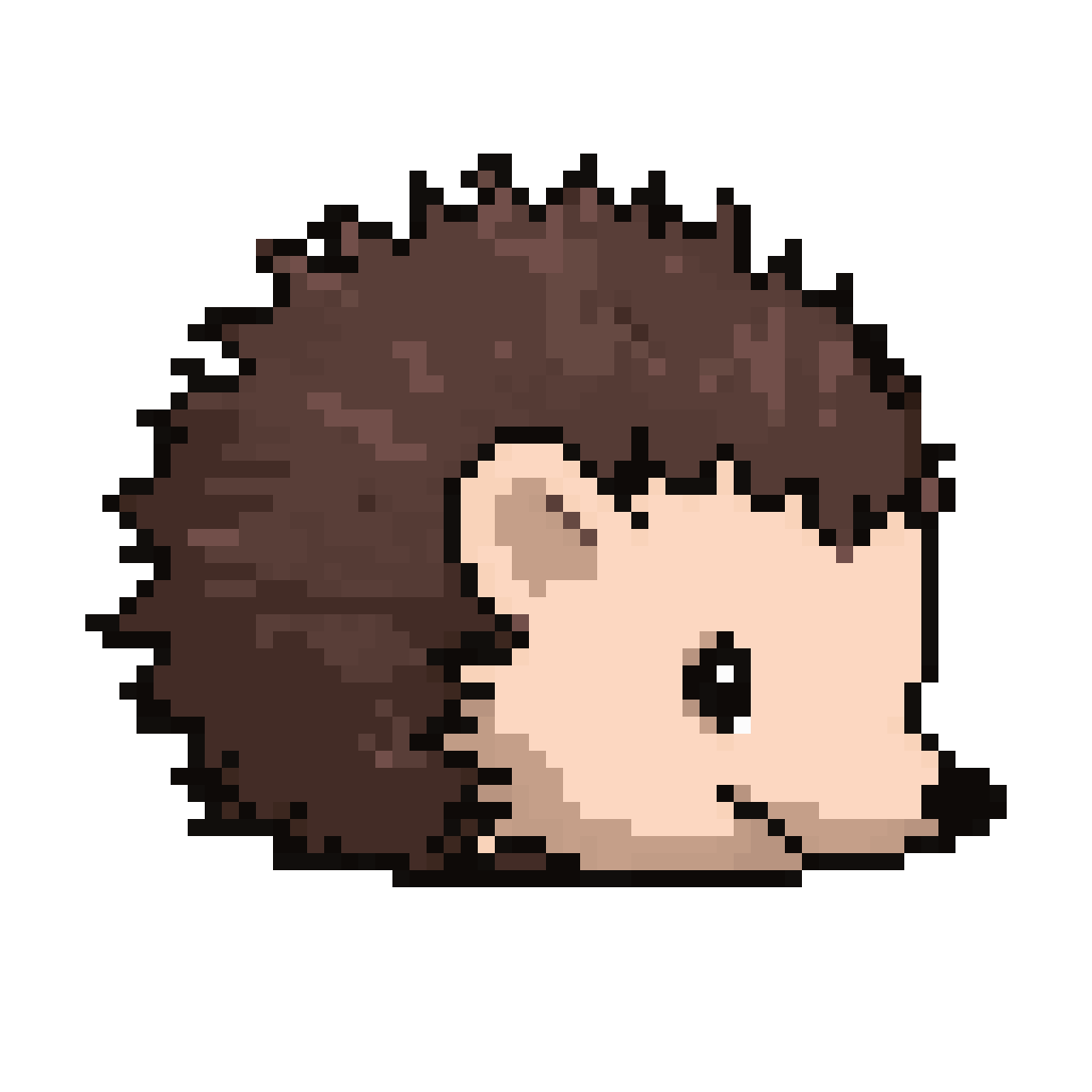 Curled Hedgehog with Spikes pixel art