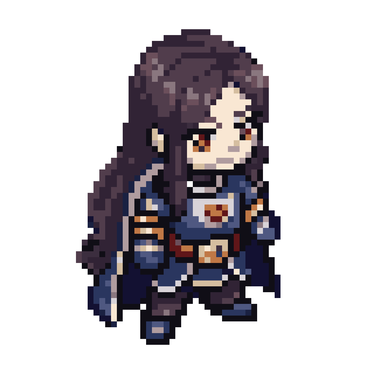 Knight Themed Character from Top Down pixel art
