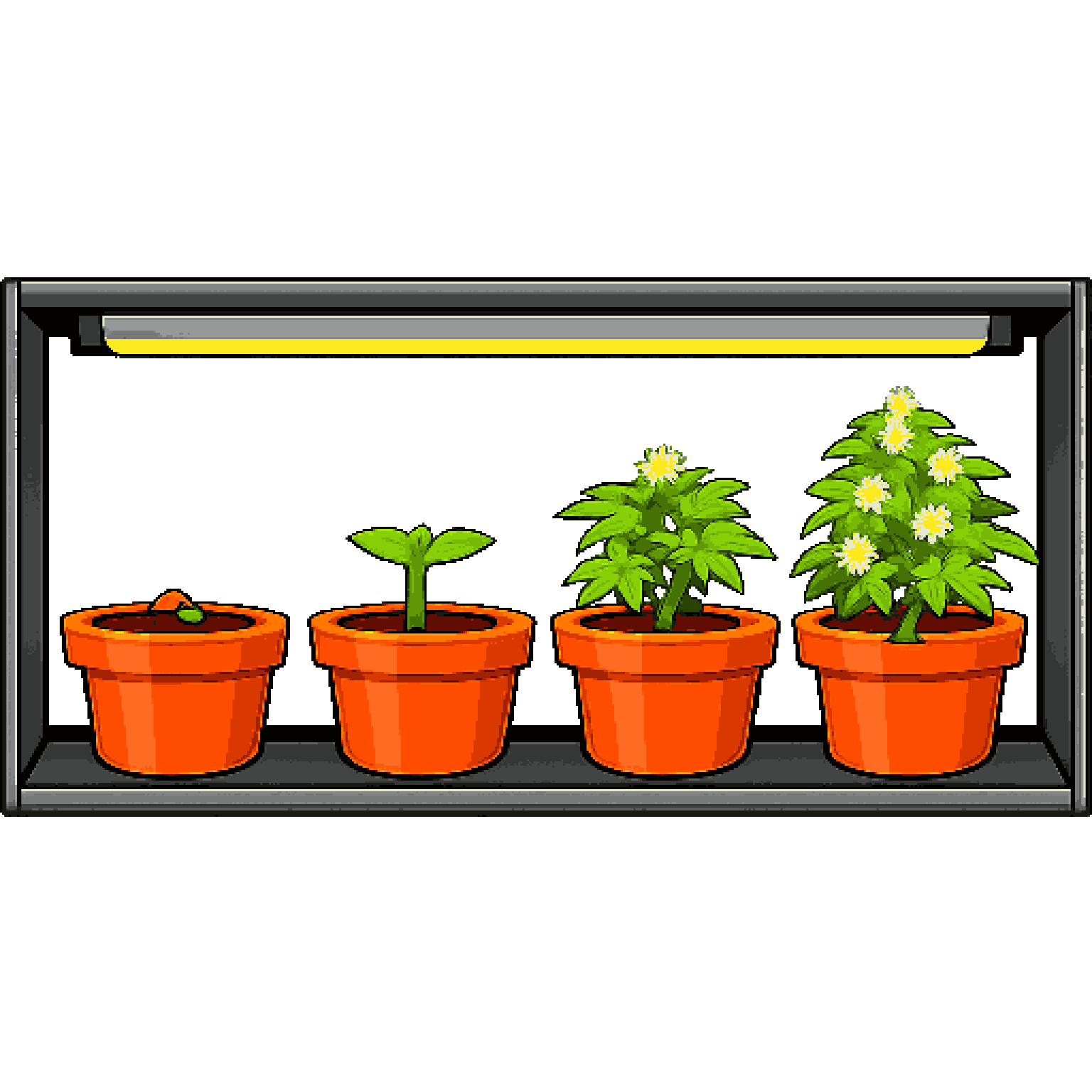 Growing Weed Plant Stages in Cupboard pixel art