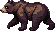 brown bear