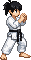 karate fighter in a white gi