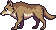 grey wolf